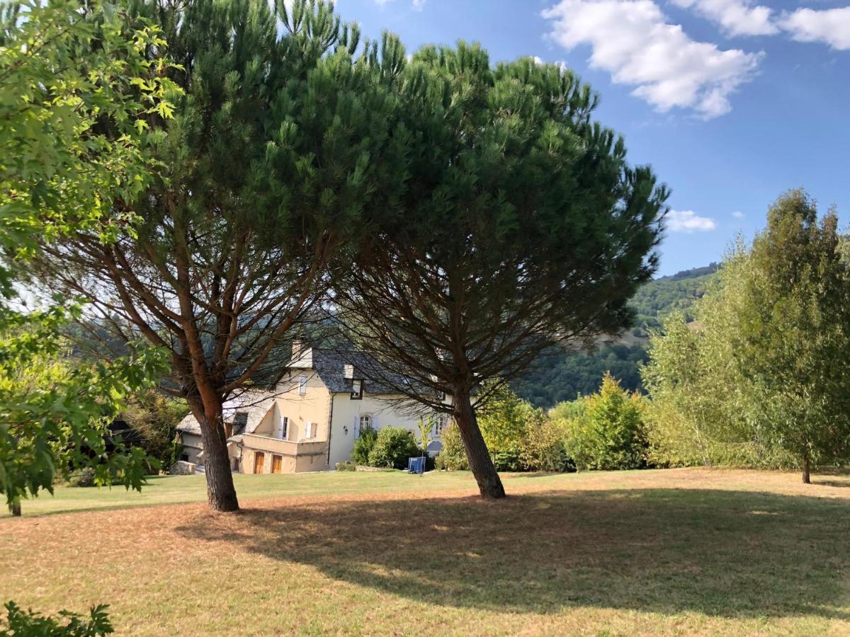 Le Clos St Georges Entraygues-sur-Truyere Exterior photo
